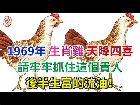 1969年屬雞|生肖雞: 性格，愛情，2024運勢，生肖1993，2005，2017